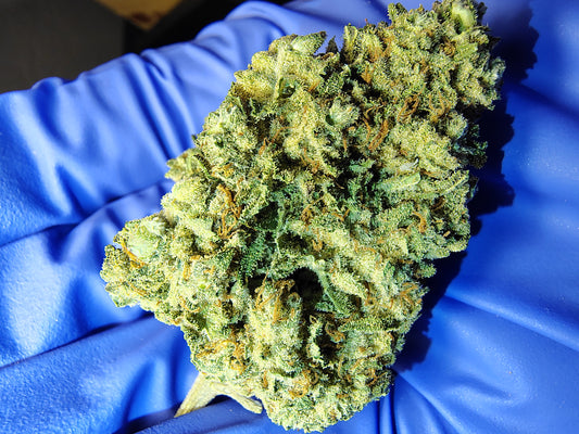 Zombie OG •Hybrid, Specialty Hemp Flower (Seeded)