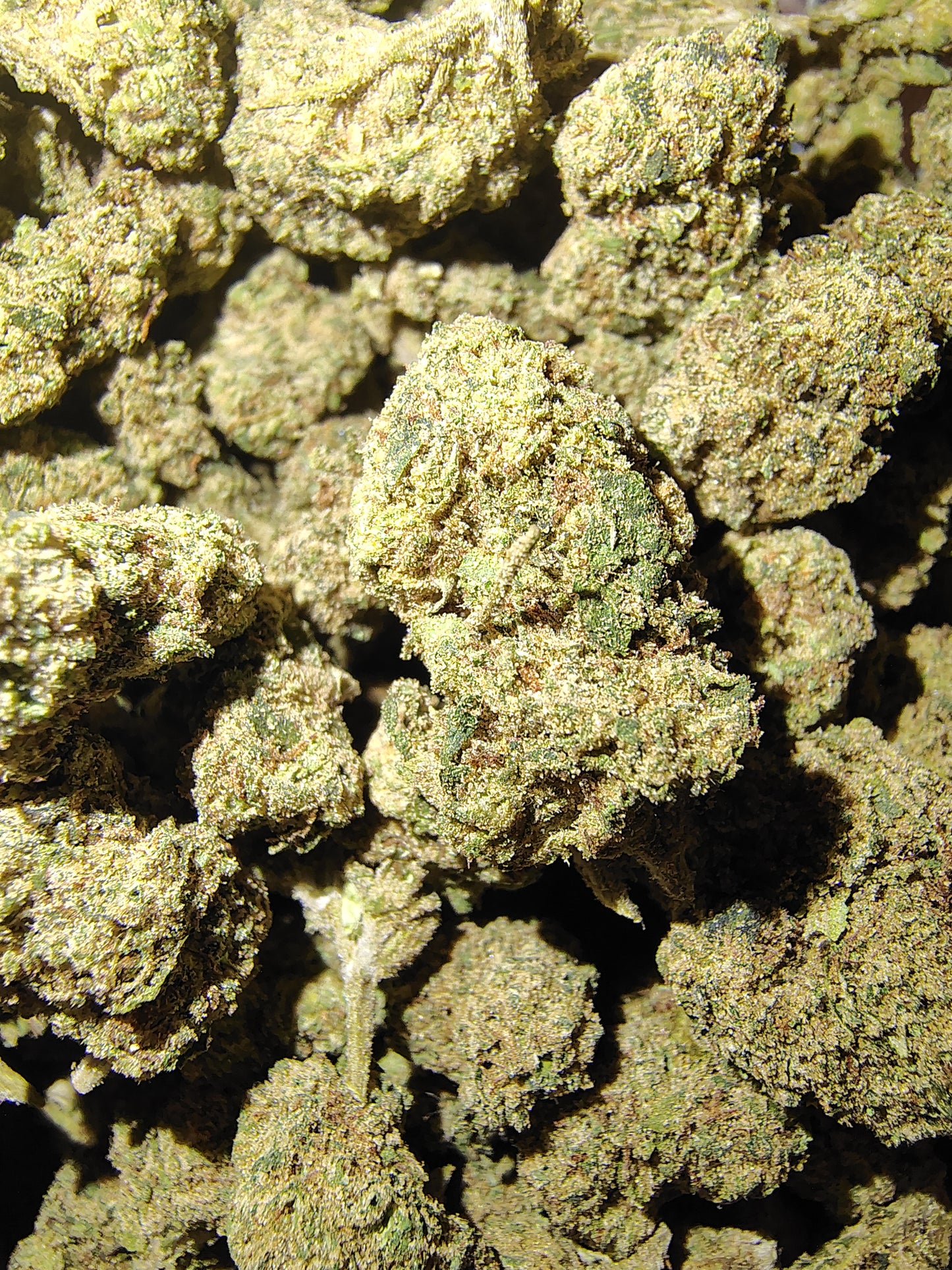 AZ, Higher End Hemp Flower