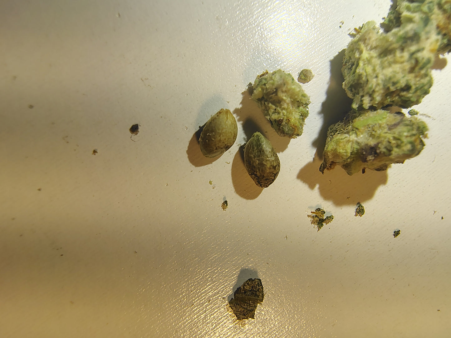 Bargain Hemp Flower *(photos are representation of quality)