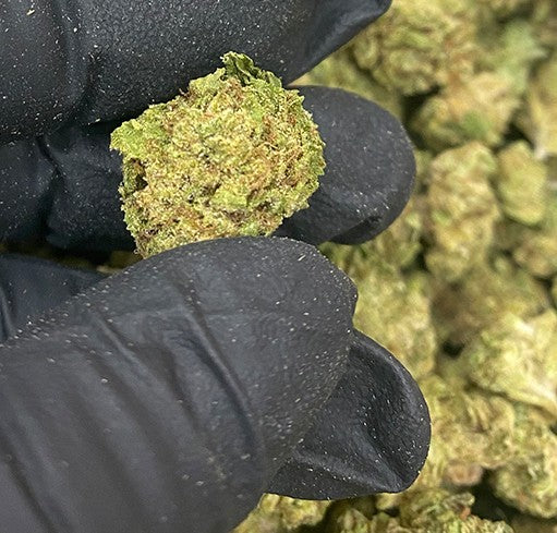 -GREENHOUSE OZ'S & QP'S •UNIQUE LITTLE BUDS