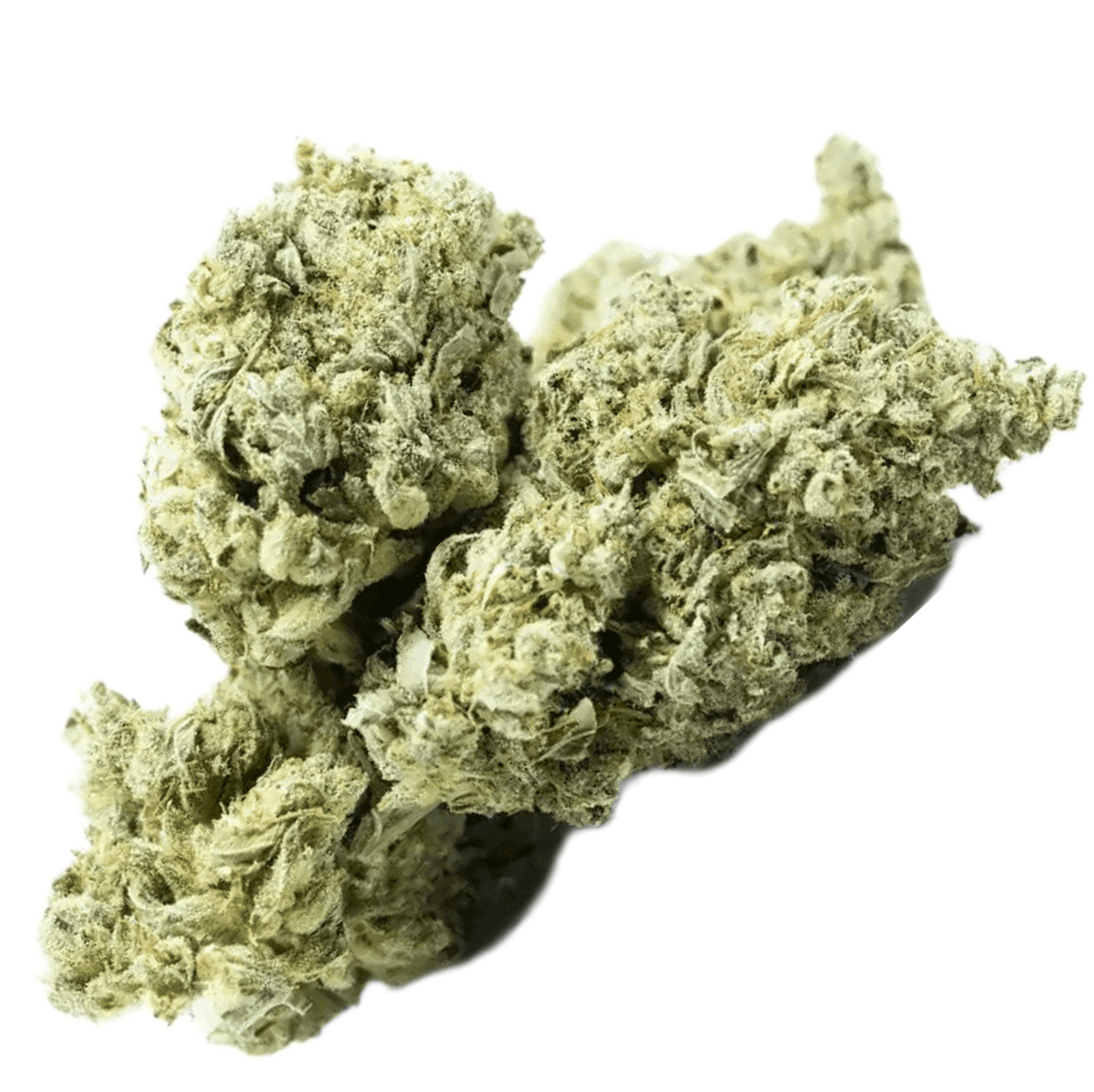 -GREENHOUSE OZ'S & QP'S •UNIQUE LITTLE BUDS