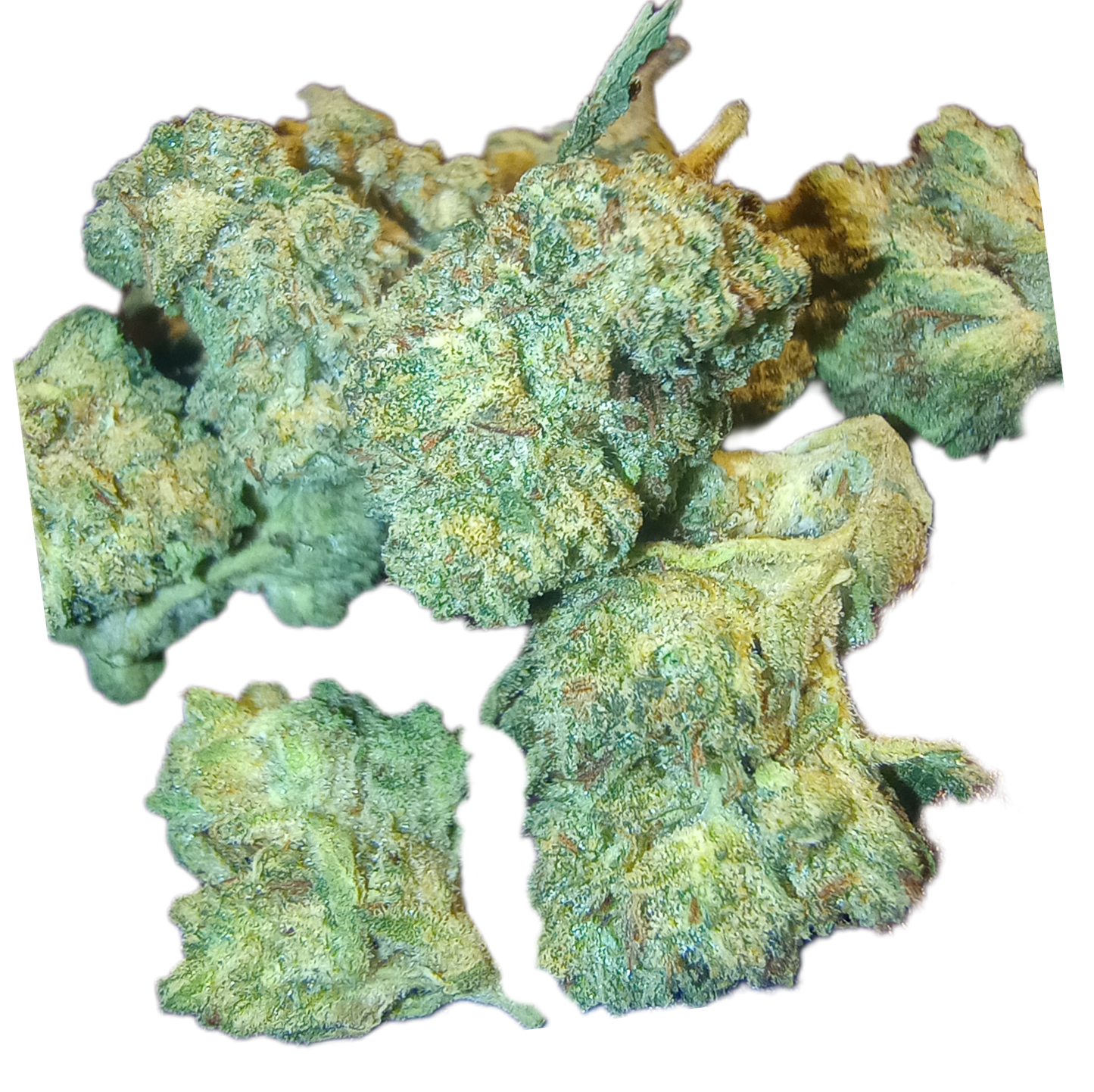 -GREENHOUSE OZ'S & QP'S •UNIQUE LITTLE BUDS
