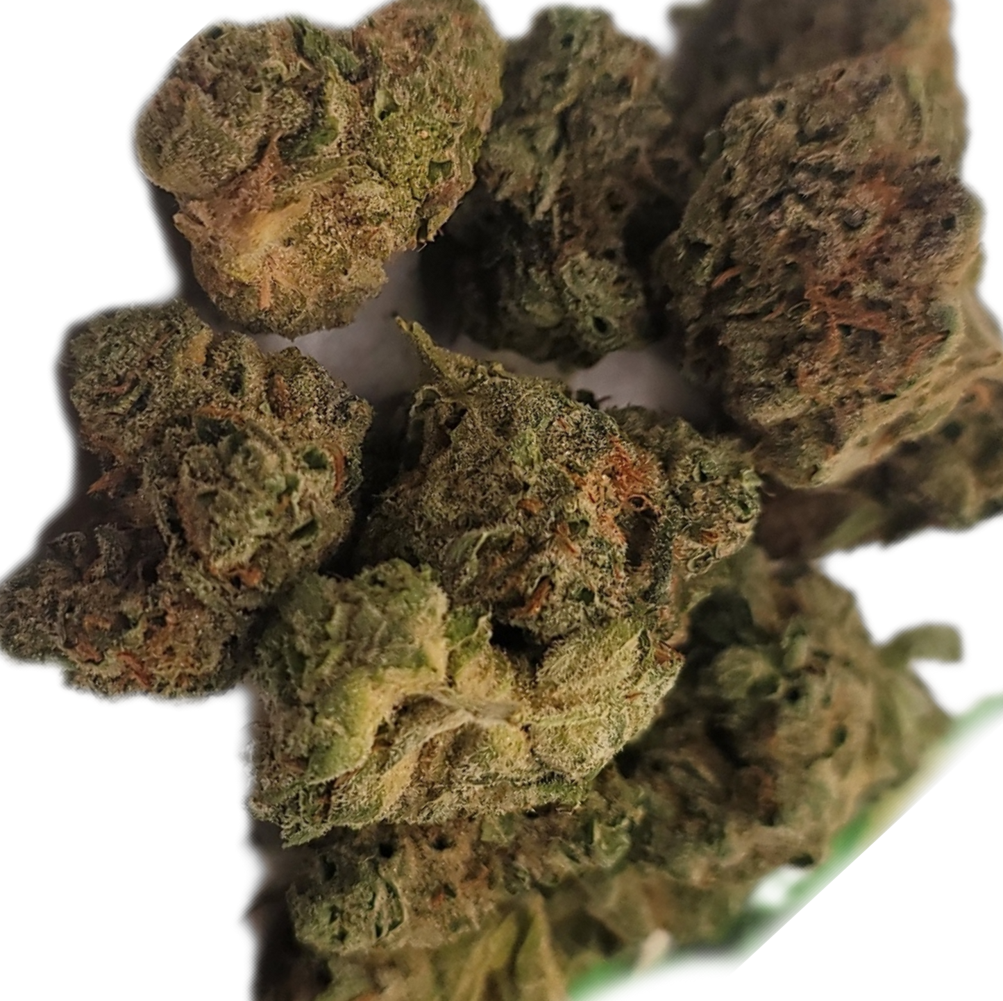-GREENHOUSE OZ'S & QP'S •UNIQUE LITTLE BUDS