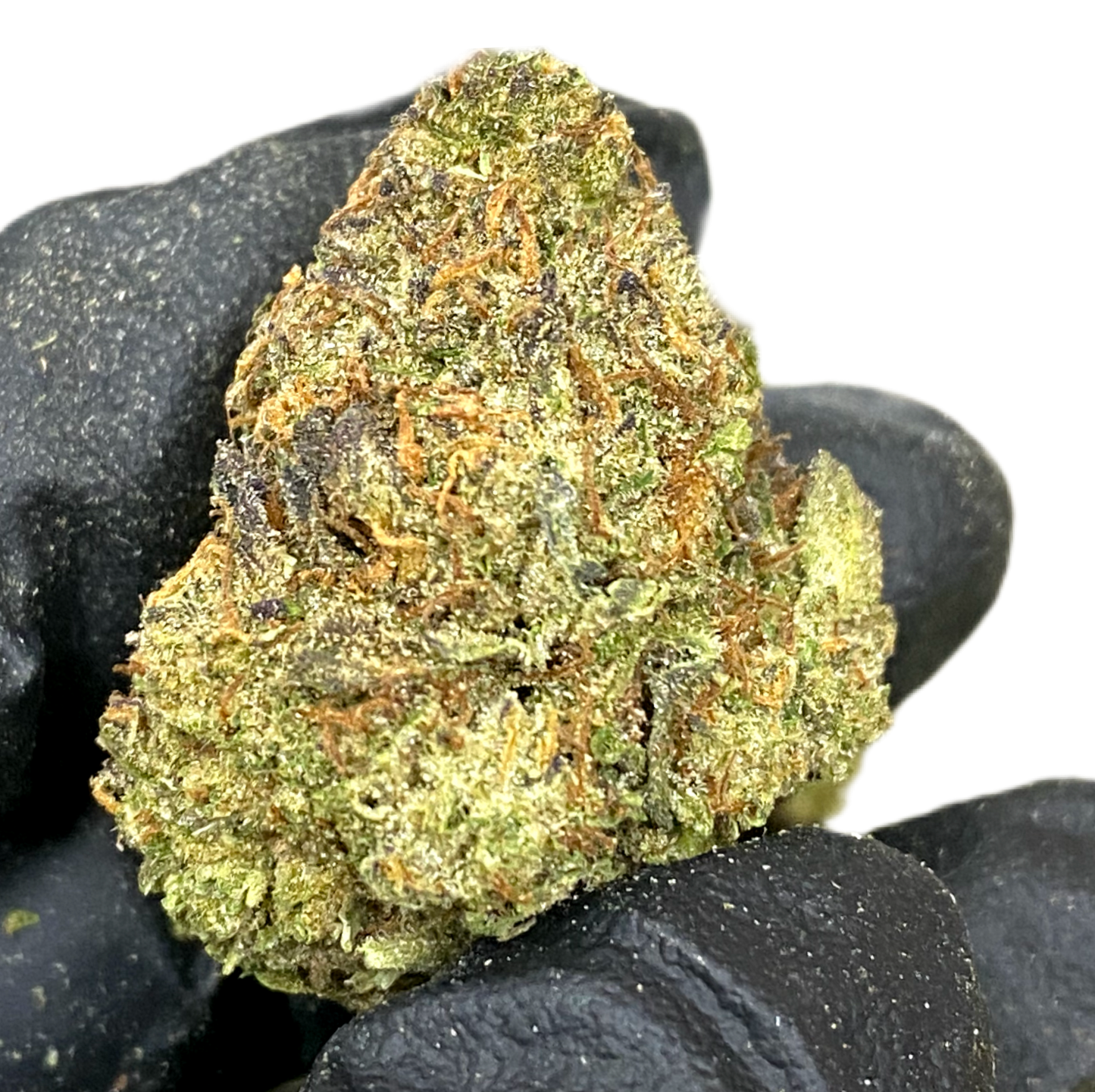 -LARGER GREENHOUSE BUDS, STANDARD HEMP FLOWER
