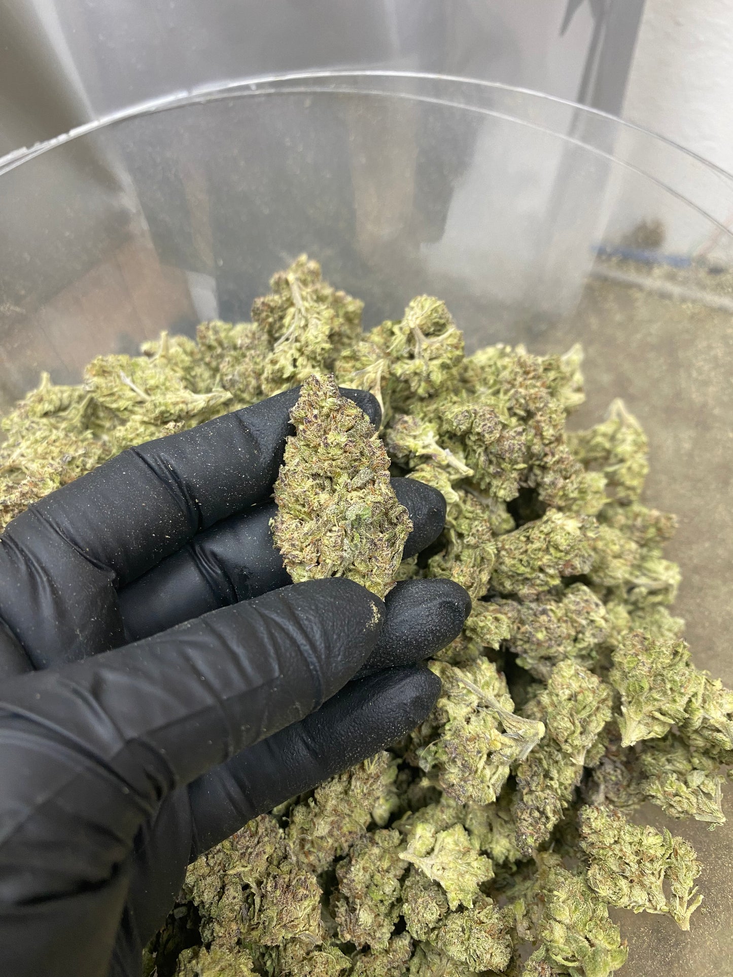 Arid.. Little Buds, High End Hemp Flower