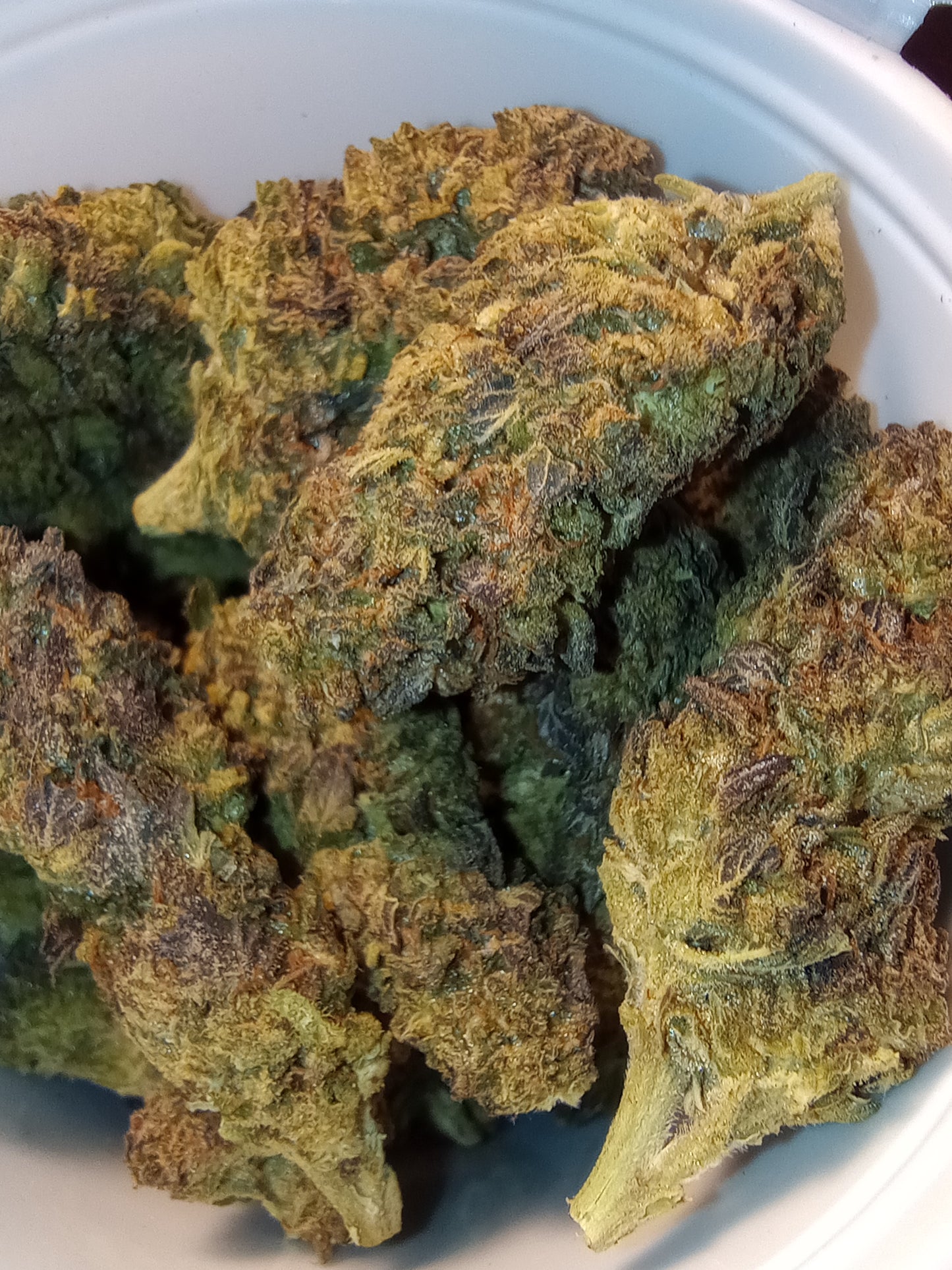 •Burger Stand, HEMP FLOWER 7g