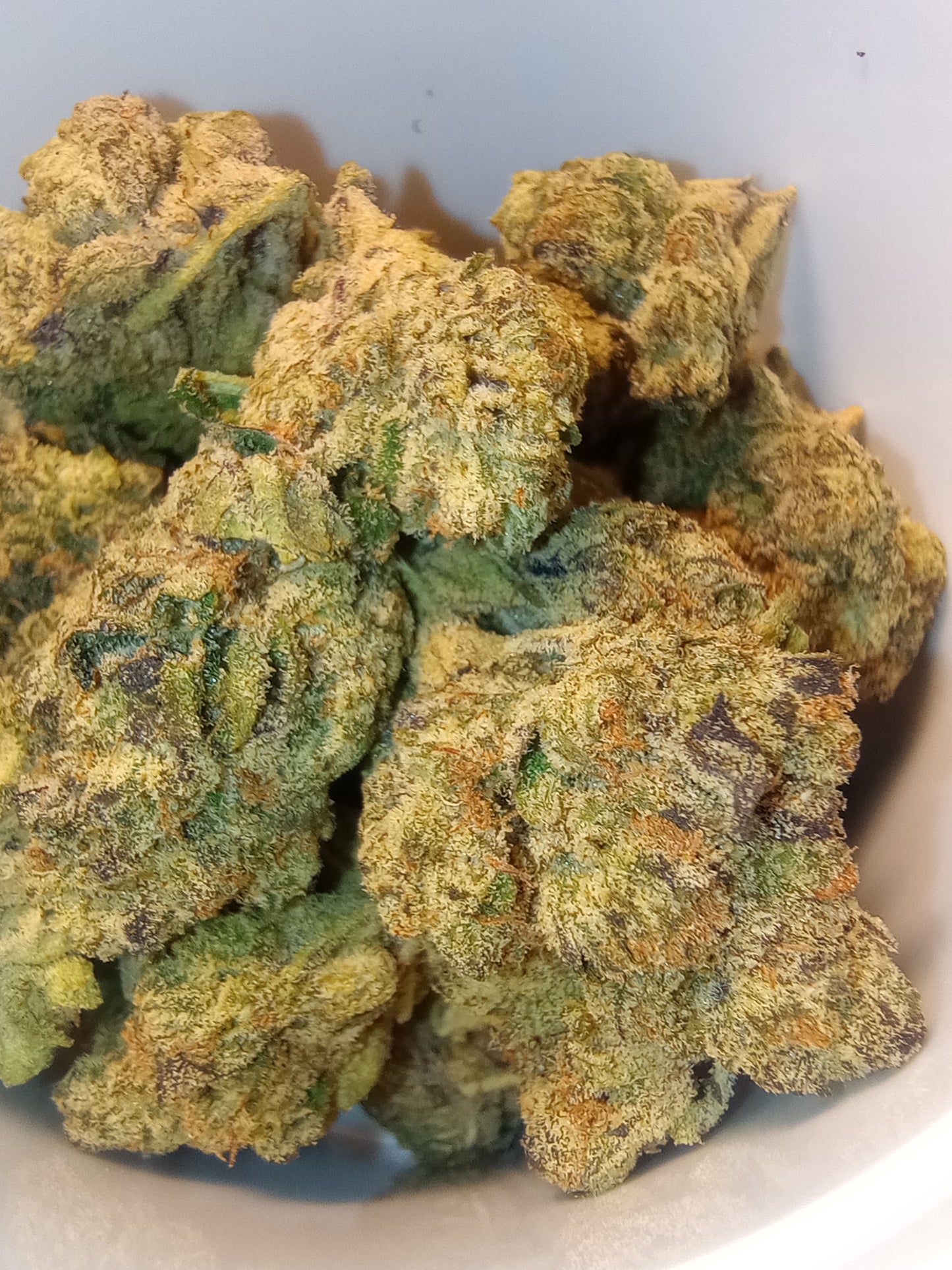 •Strawberry Haze •Hybrid, Exotic Indoor Hemp Flower