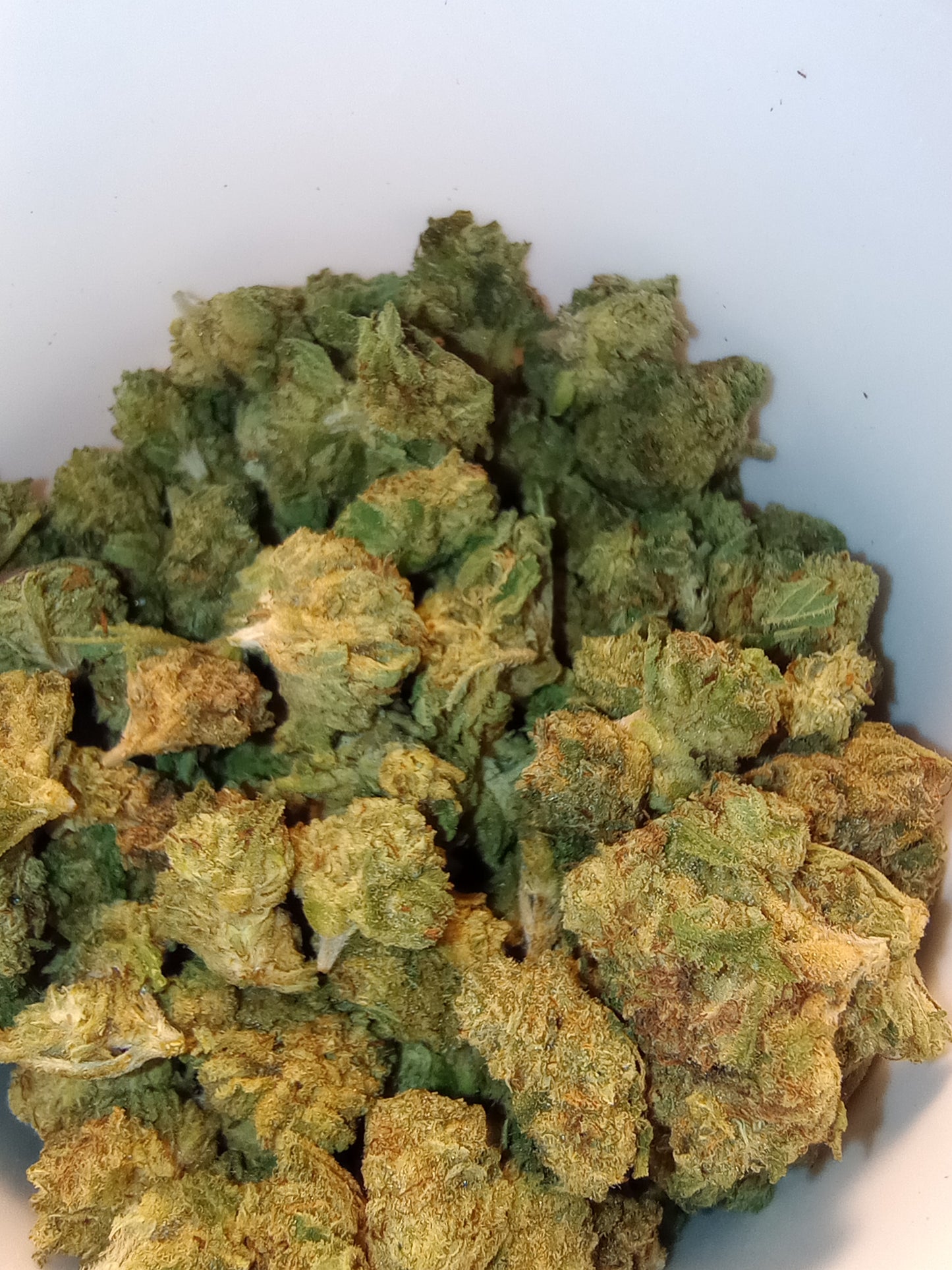 •Chocolate Kush (Scraggly) •Hybrid, Little Hemp Flower