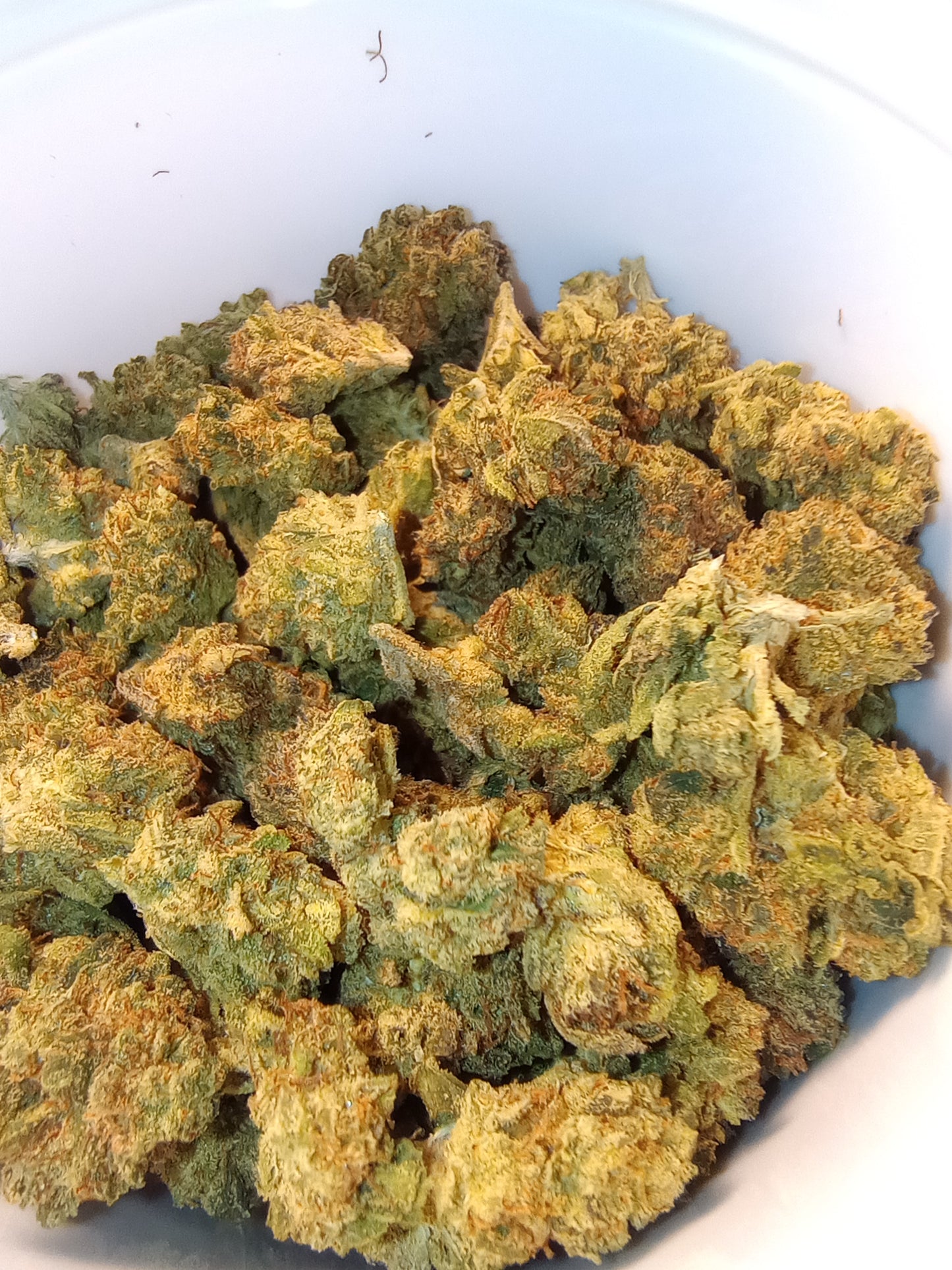 Arid.. Little Buds, High End Hemp Flower