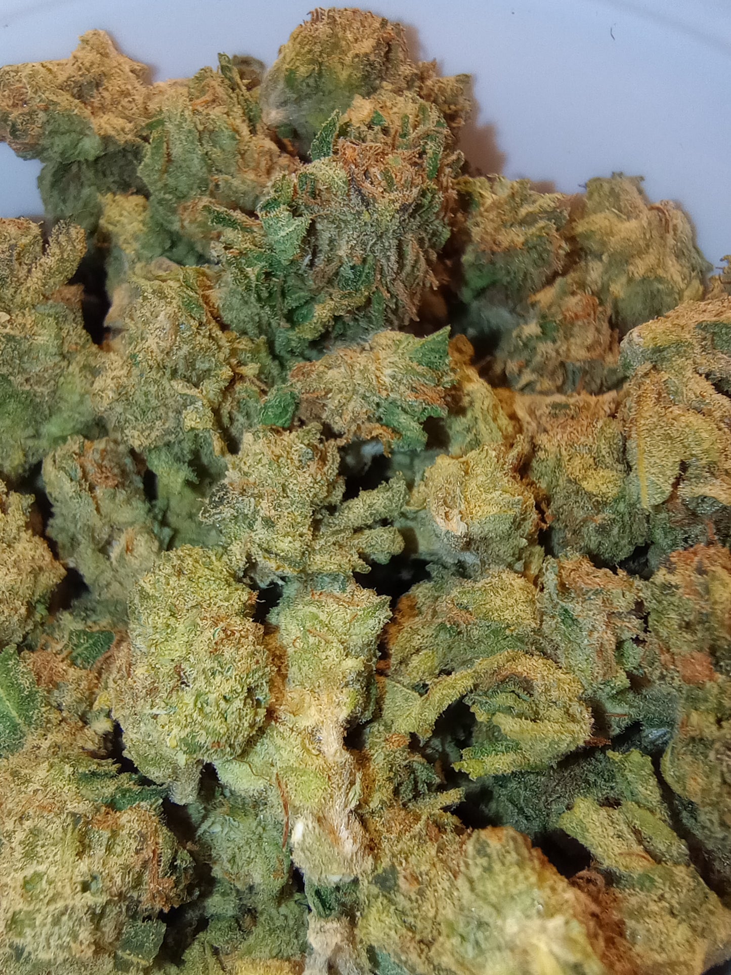 Arid.. Little Buds, High End Hemp Flower