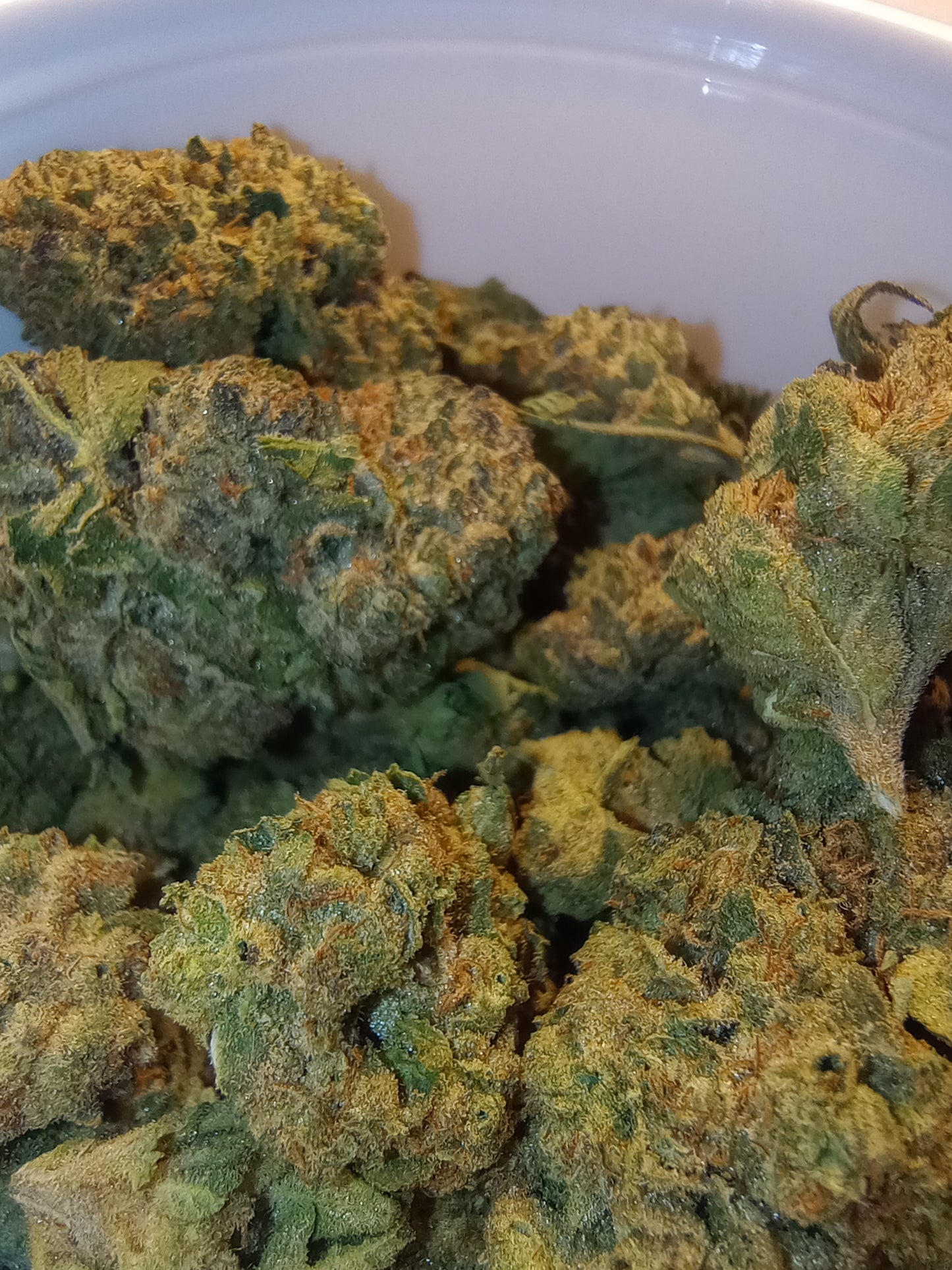 Velvet Bud •Sativa, Exotic Hemp Flower