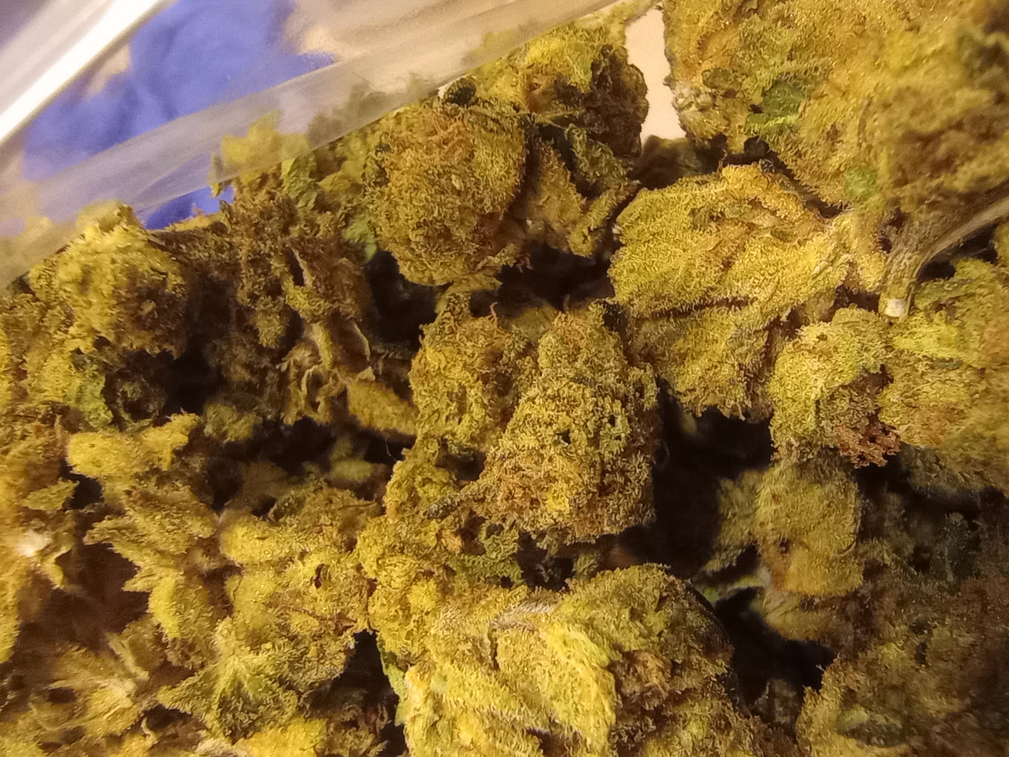 Bargain Hemp Flower