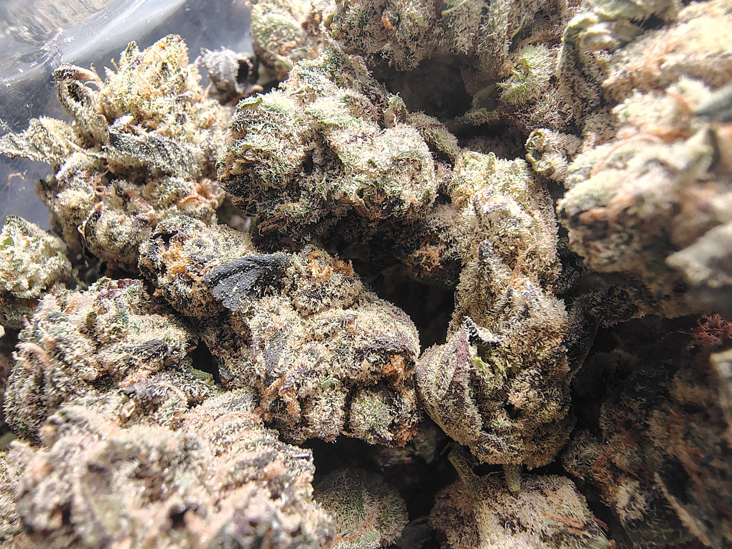 AAA Little •Sweet Tart •Hybrid, Classic Rare Hemp Flower