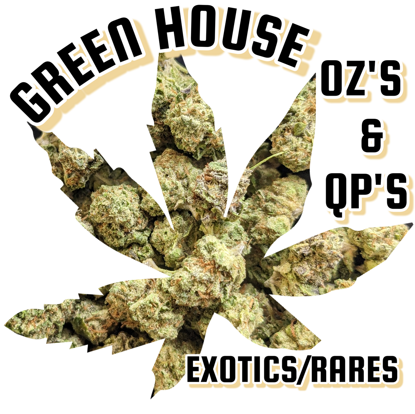 -GREENHOUSE OZ'S & QP'S •UNIQUE LITTLE BUDS