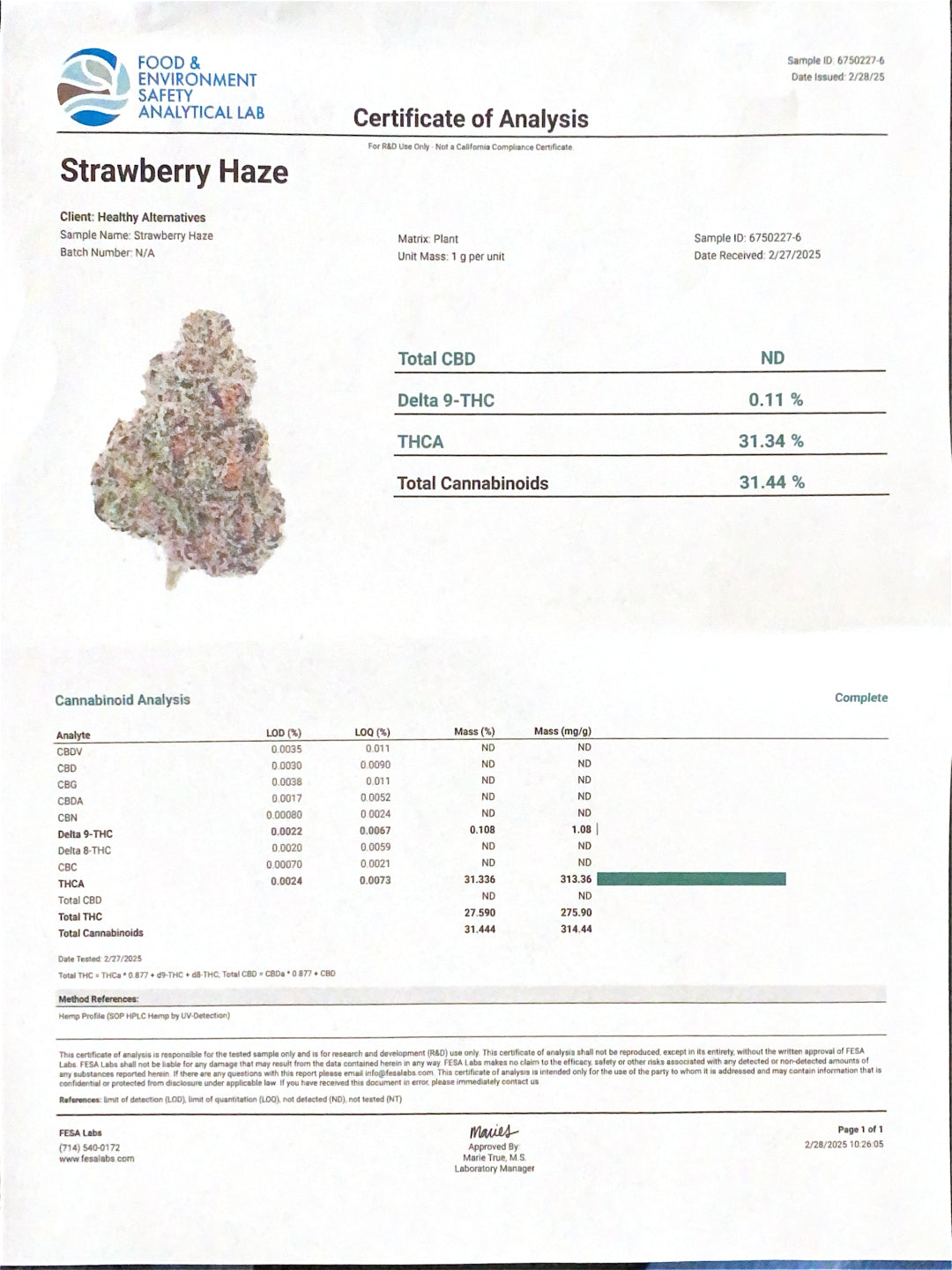 •Strawberry Haze •Hybrid, Exotic Indoor Hemp Flower