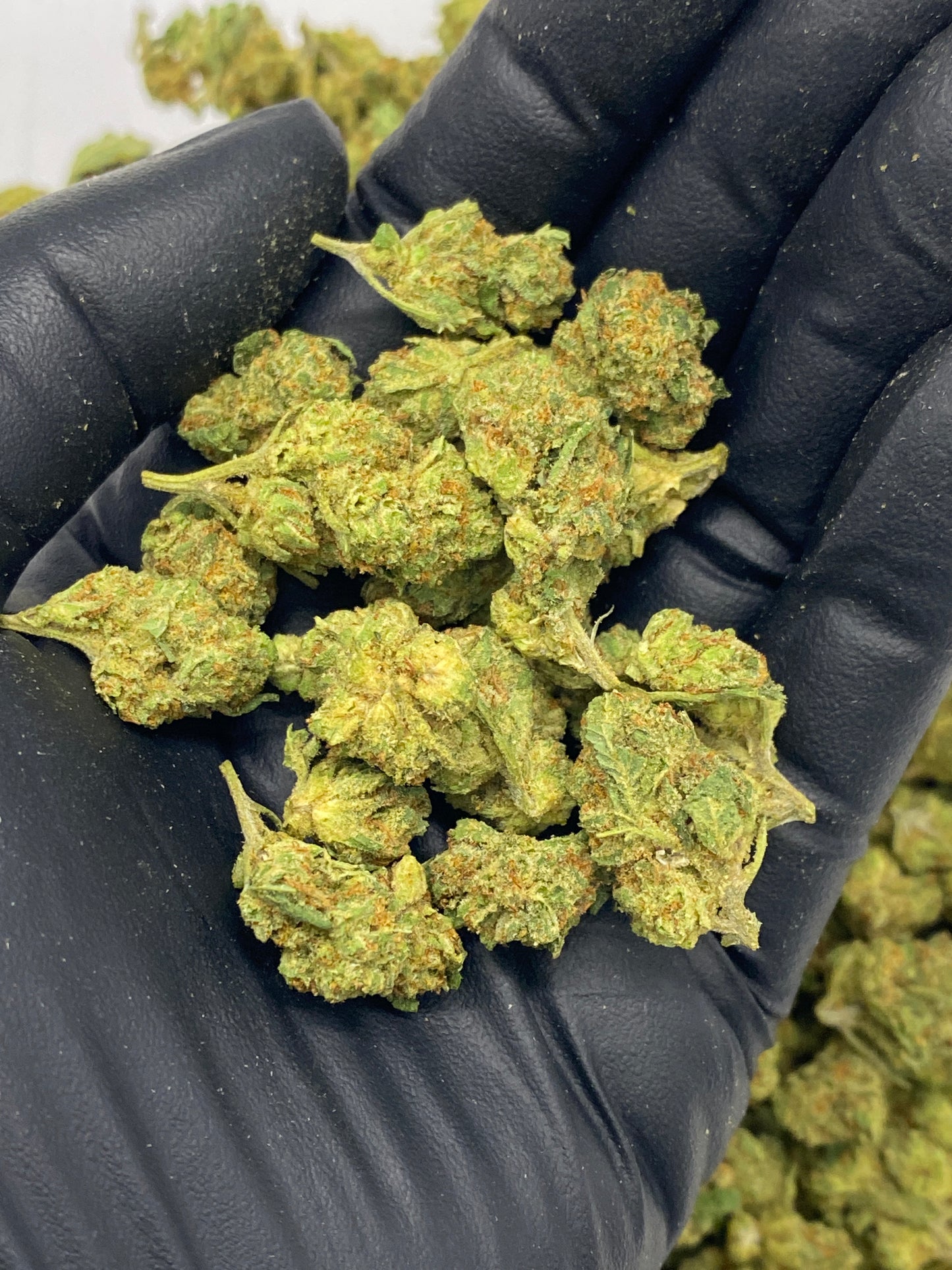 AZ Sun •Grade A, Exotic Outdoor Hemp Flower