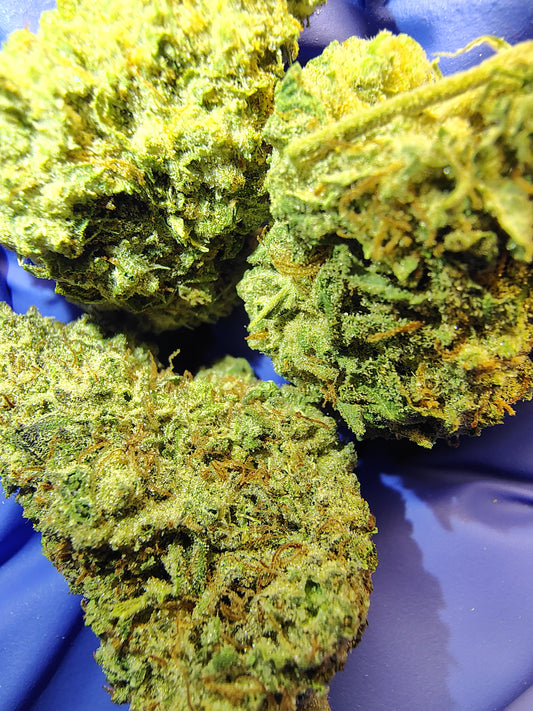 OG Witches Weed •Hybrid, Rare Hemp Flower (Seeded)