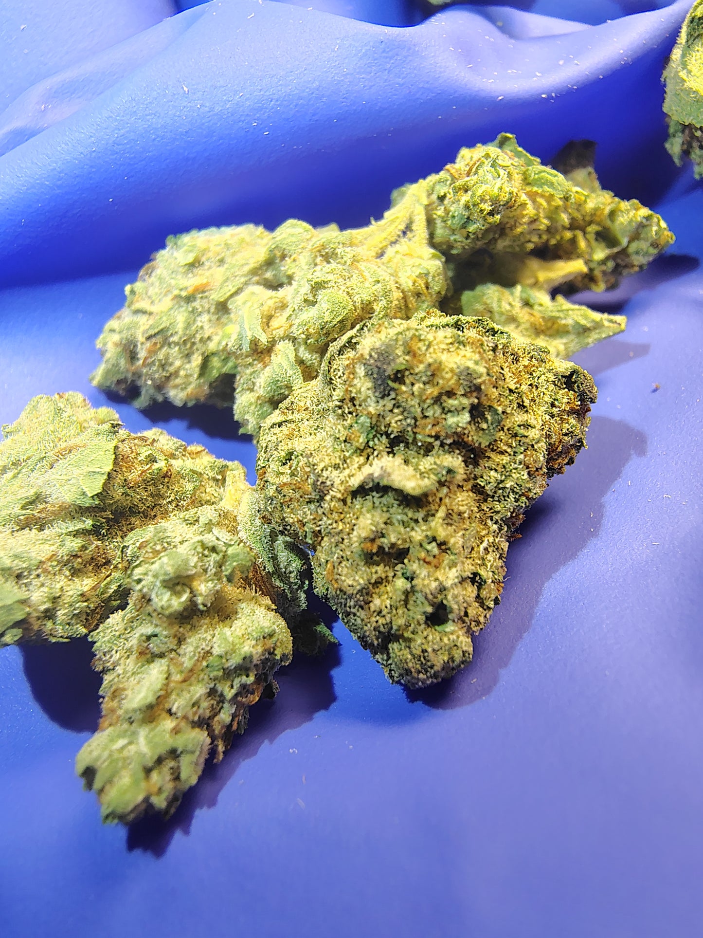 AZ, Higher End Hemp Flower