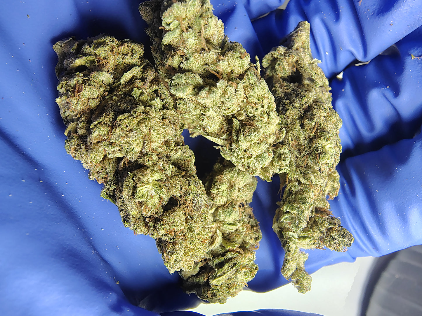 AZ, Higher End Hemp Flower