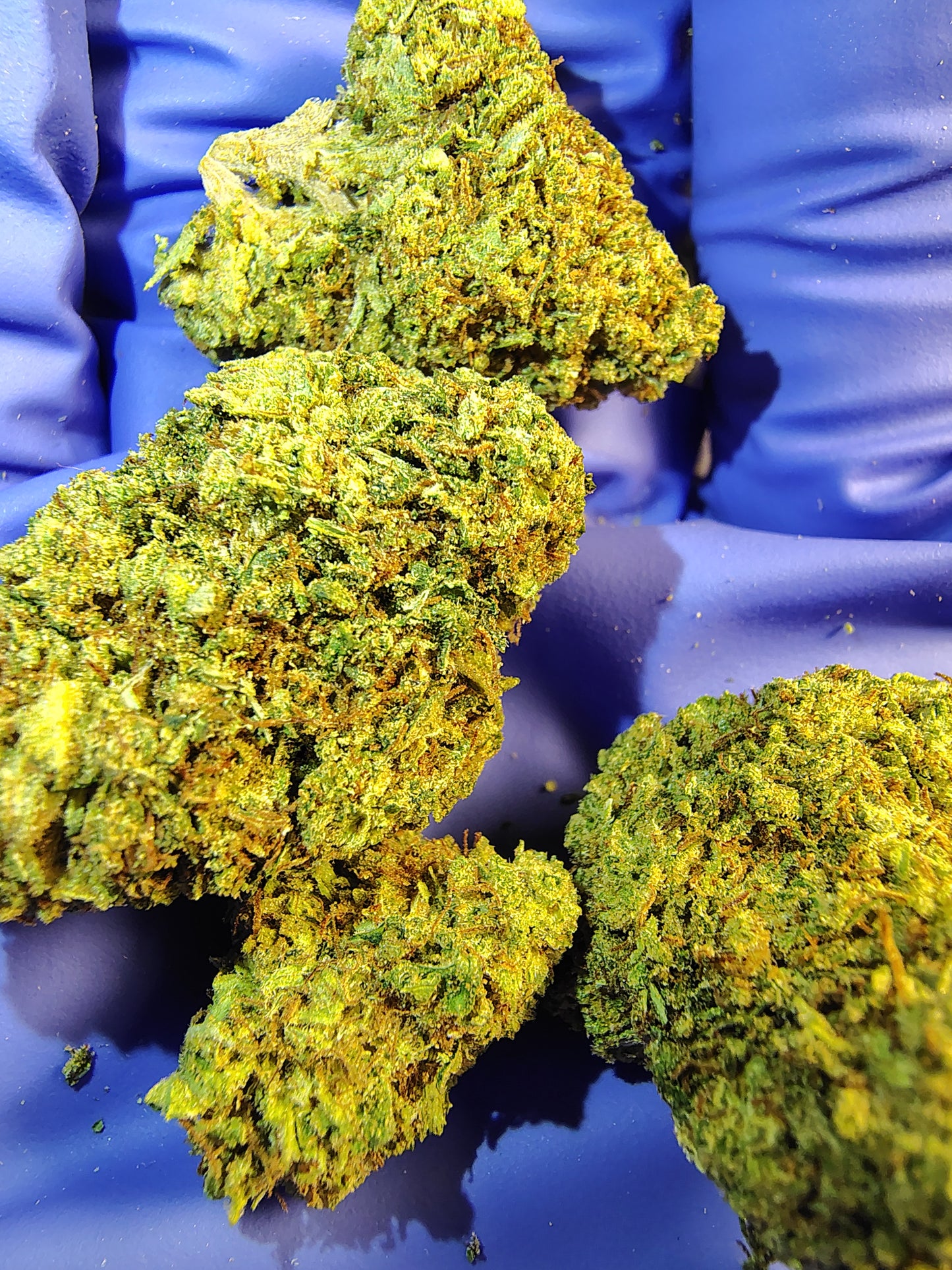 AZ, Higher End Hemp Flower