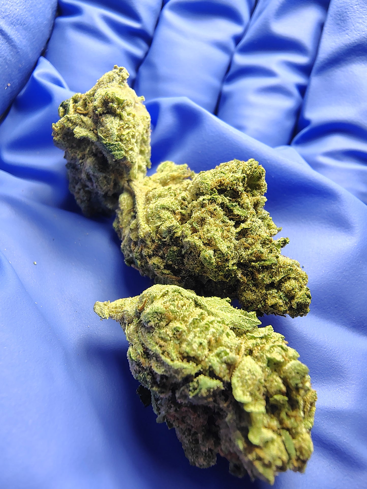 Quarter Ounces, Type 1 Hemp Flower