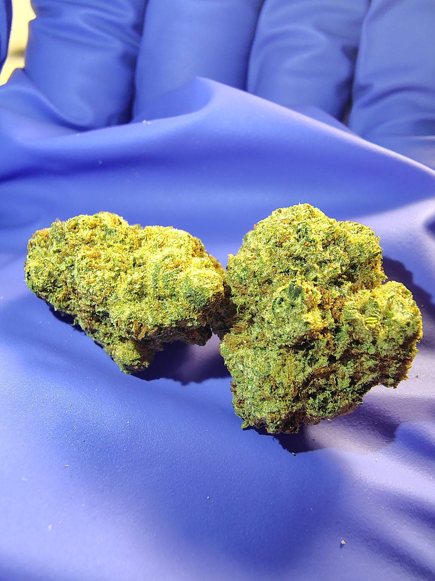 AZ, Higher End Hemp Flower