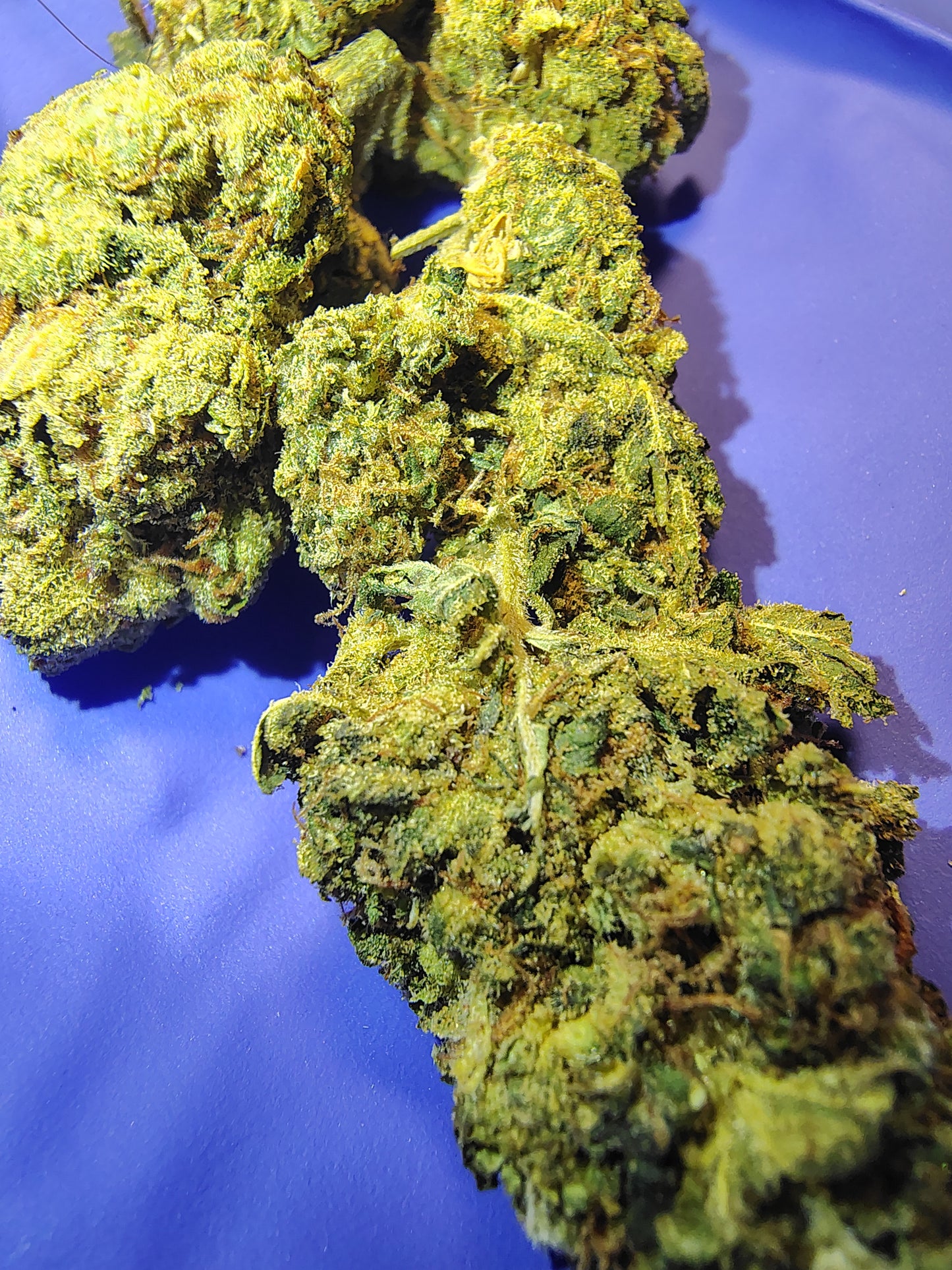 AZ, Higher End Hemp Flower