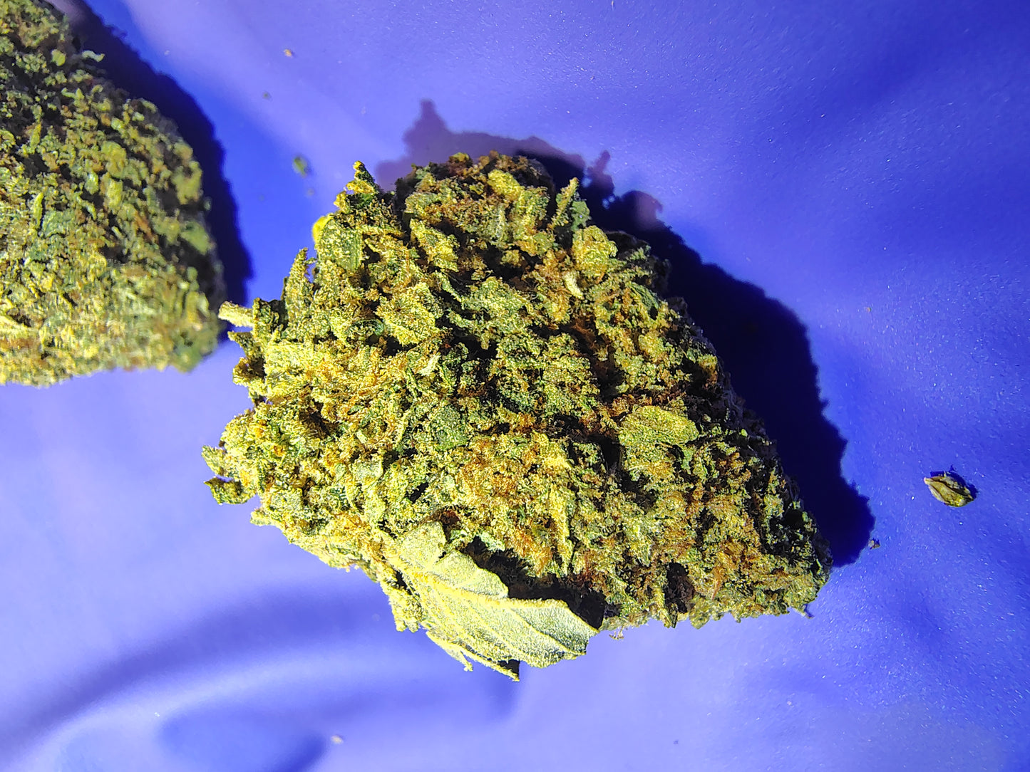 AZ, Higher End Hemp Flower