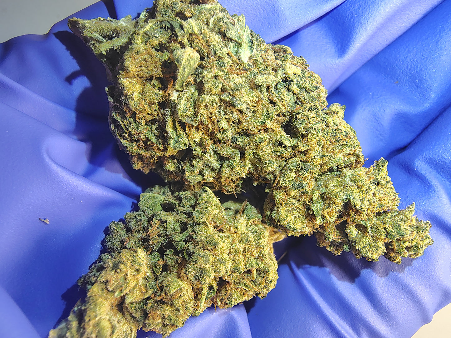 AZ, Higher End Hemp Flower