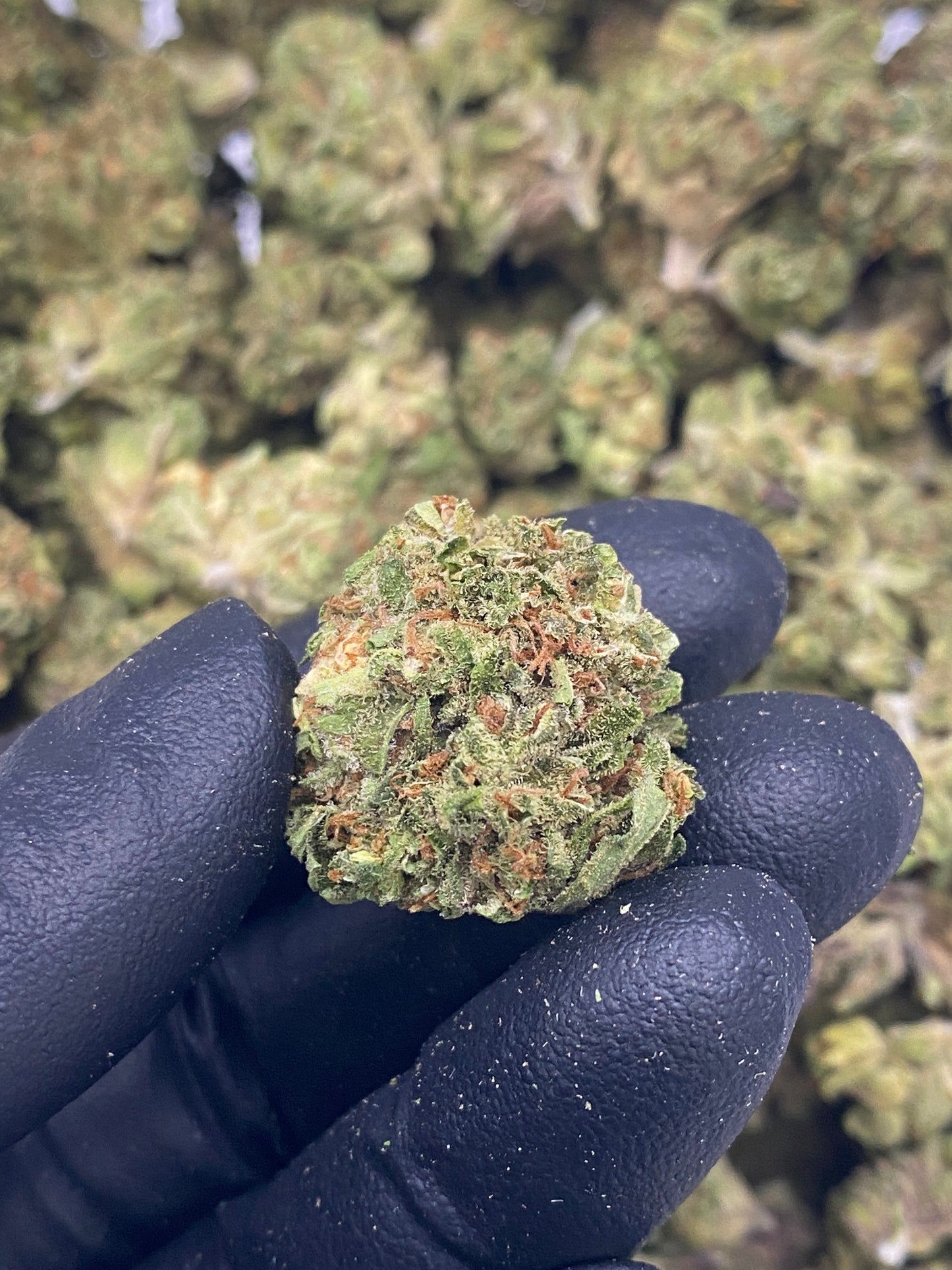 AZ Sun •Grade A, Exotic Outdoor Hemp Flower
