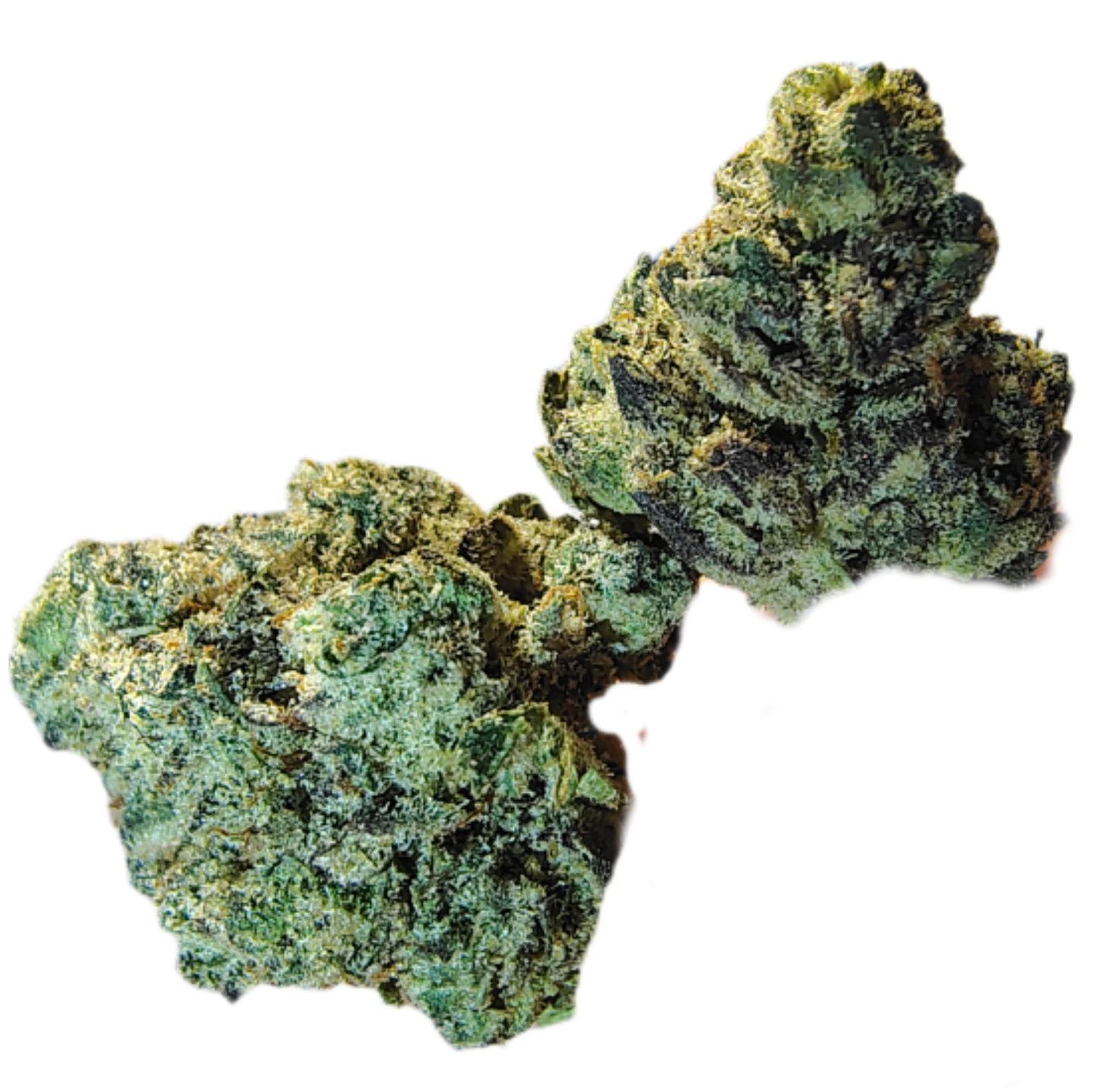 -Half Ounces, Little Size Type 1 Hemp Flower