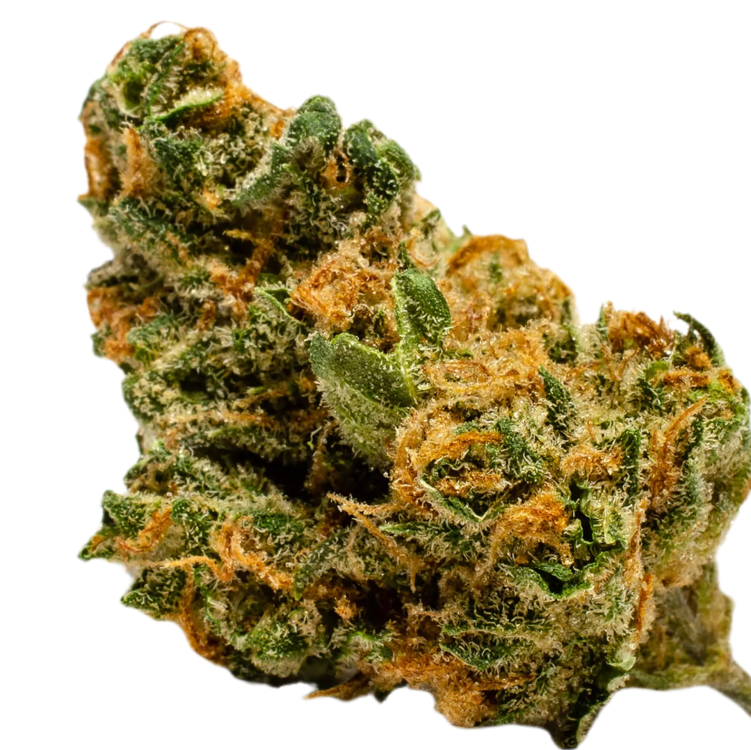 Banana Kush •Hybrid, Rare Hemp Flower