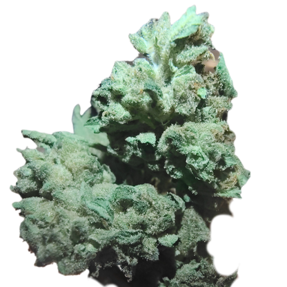 -Half Ounces, Little Size Type 1 Hemp Flower