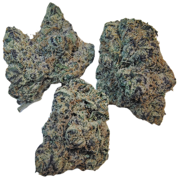 •Blue Sensi Wizard •Sativa, Ultra Rare Hemp Flower