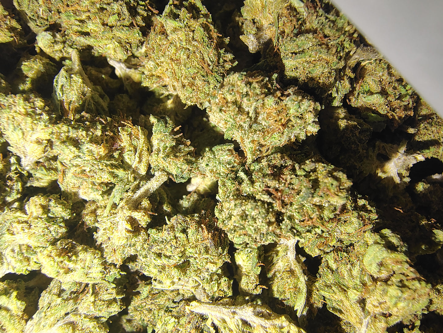 Bargain Hemp Flower