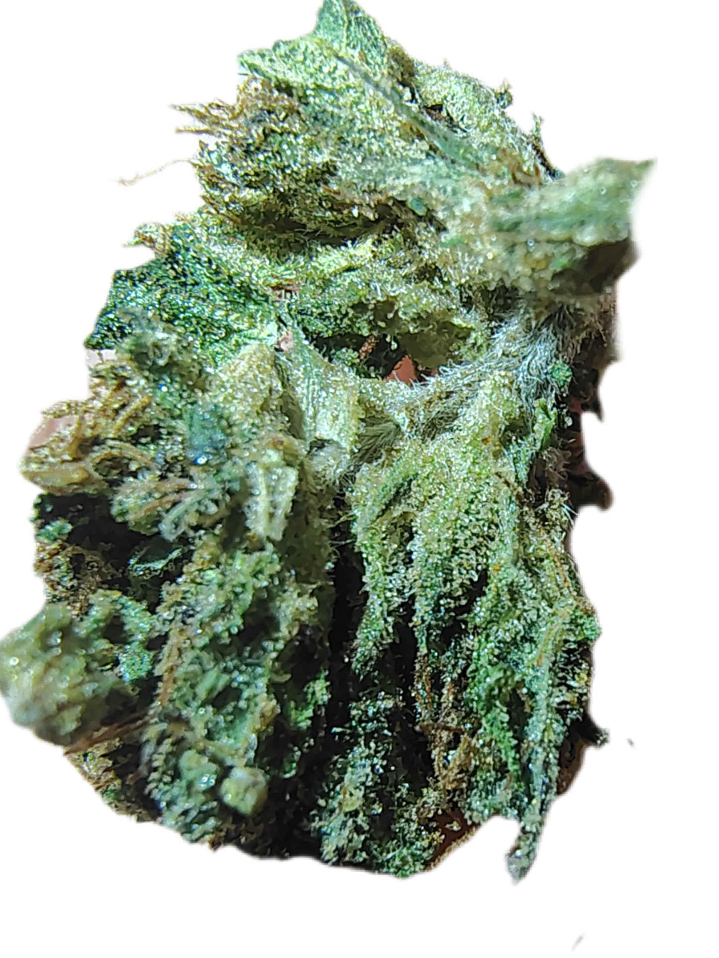 Classic, Rare Hemp Flower +A