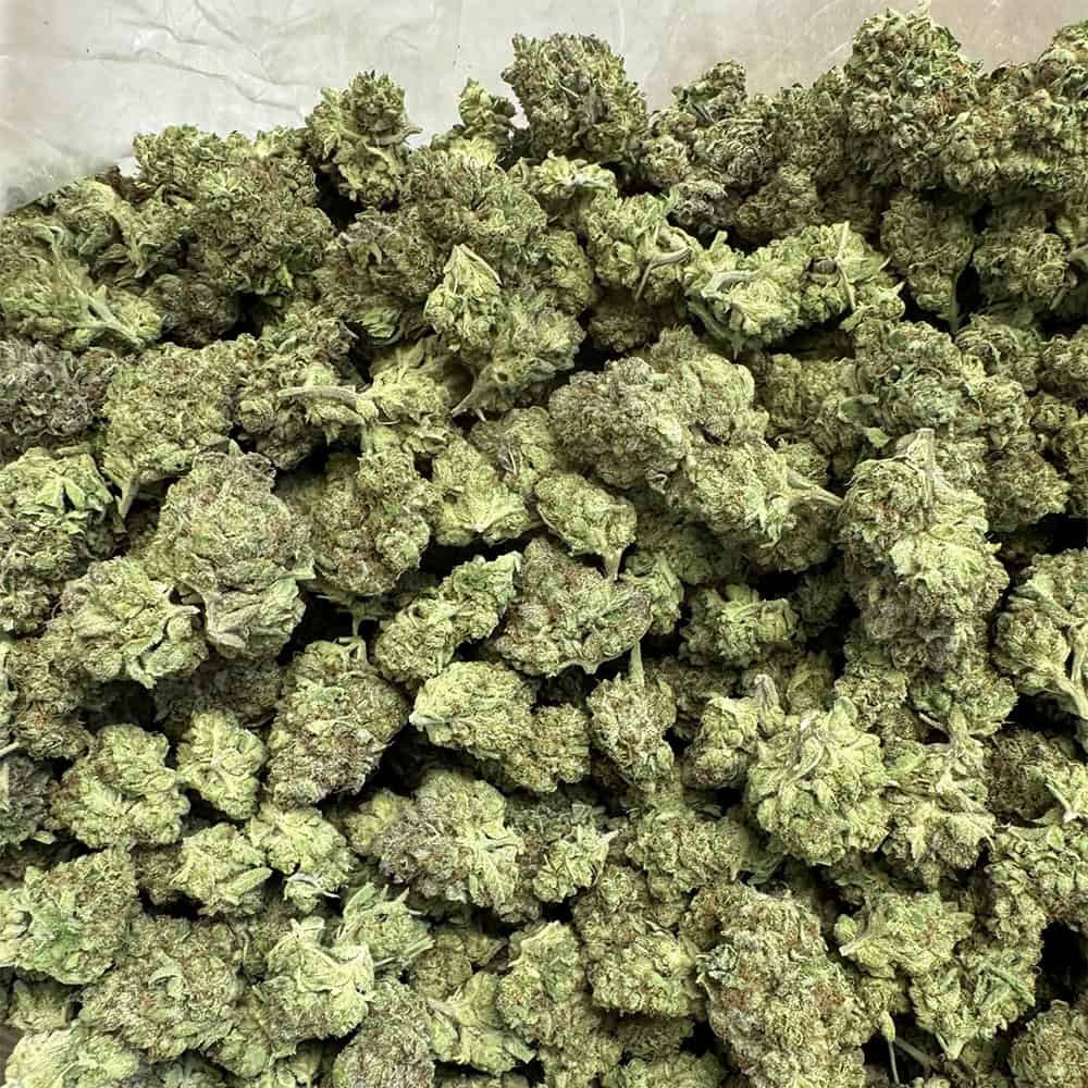 Classic, Rare Hemp Flower +A