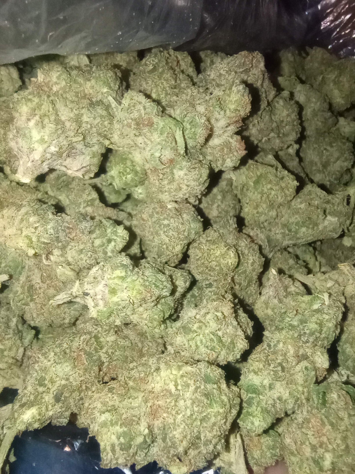 Classic, Rare Hemp Flower +A