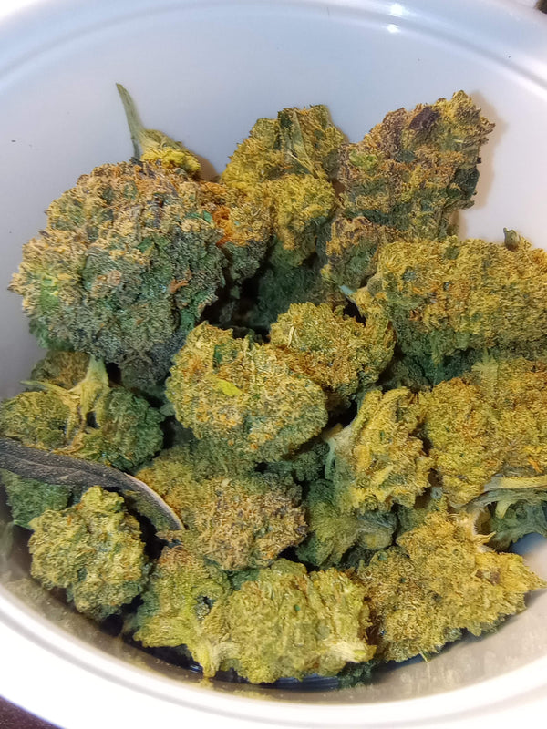 ++A •Little Lil Runtz Mintz •Hybrid, Premium Hemp Flower