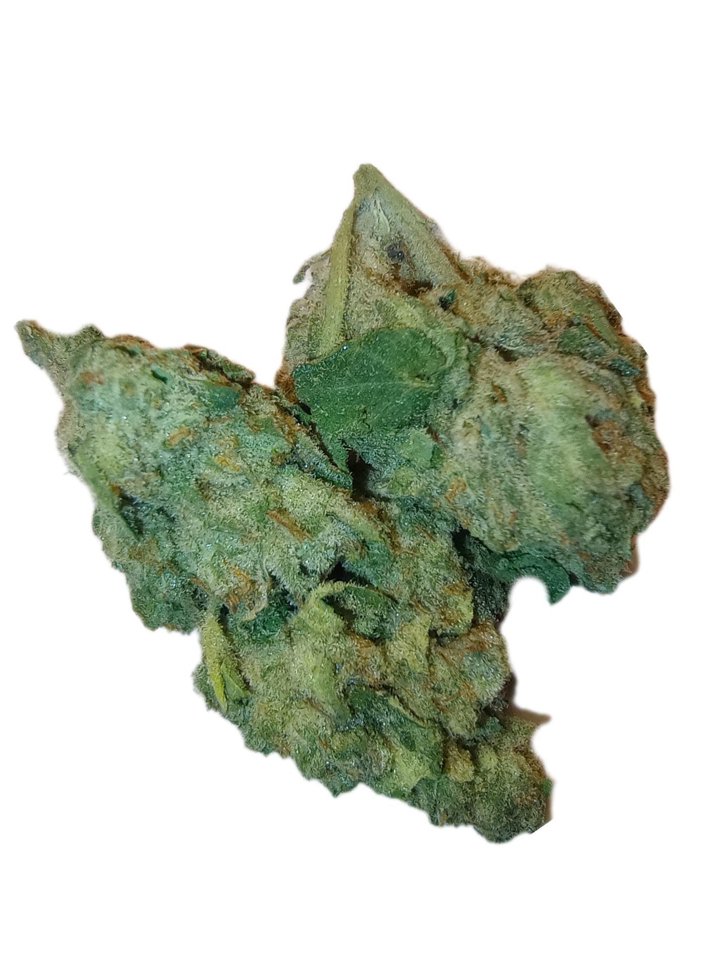 ARID! -COOKIES AND CREAM •INDICA, EXOTIC HEMP FLOWER