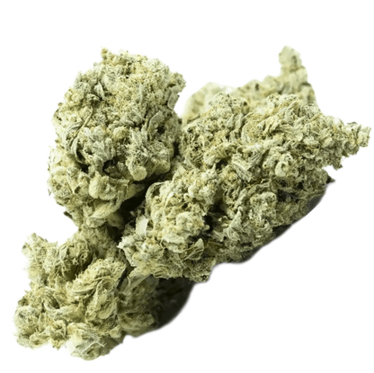 -GREENHOUSE OZ'S & QP'S •UNIQUE LITTLE BUDS