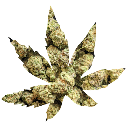 -GREENHOUSE OZ'S & QP'S •UNIQUE LITTLE BUDS