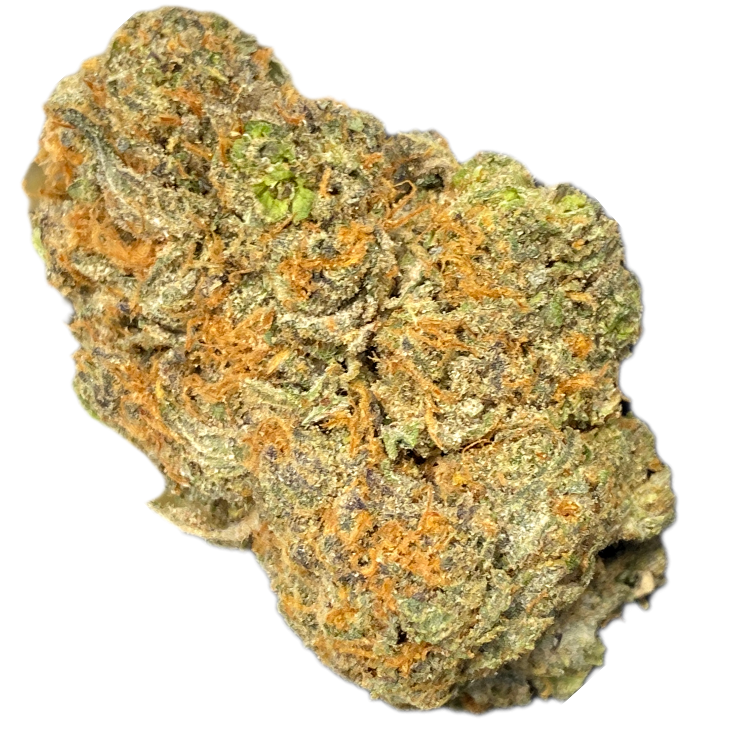 -INDOOR QP'S, COMMERCIAL BULK •HEMP FLOWER