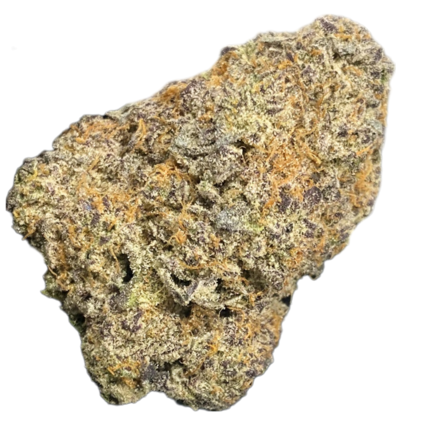 -INDOOR QP'S, COMMERCIAL BULK •HEMP FLOWER