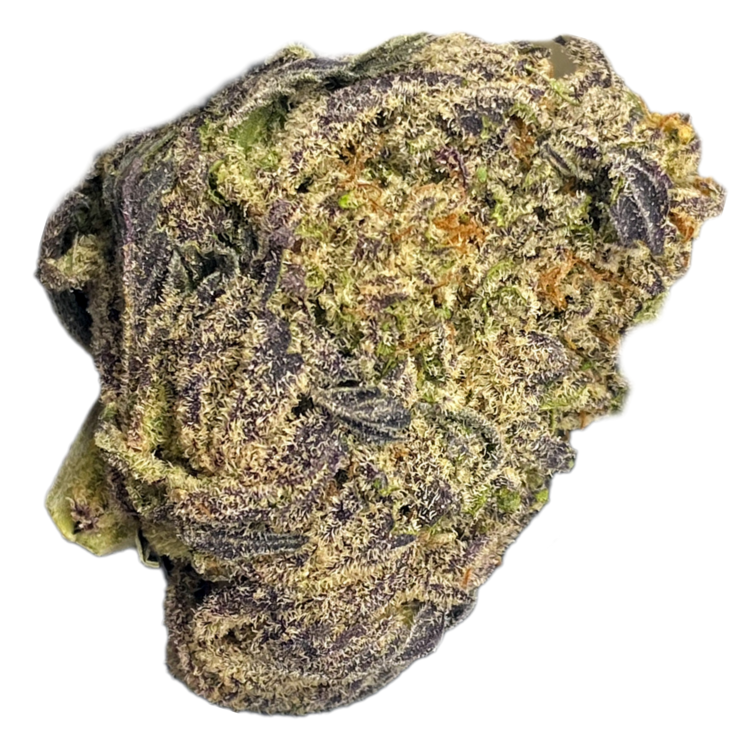 -INDOOR QP'S, COMMERCIAL BULK •HEMP FLOWER