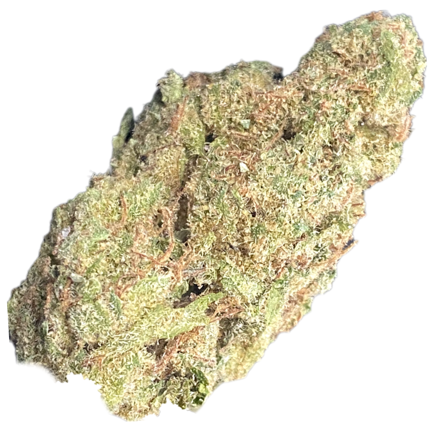 -INDOOR QP'S, COMMERCIAL BULK •HEMP FLOWER