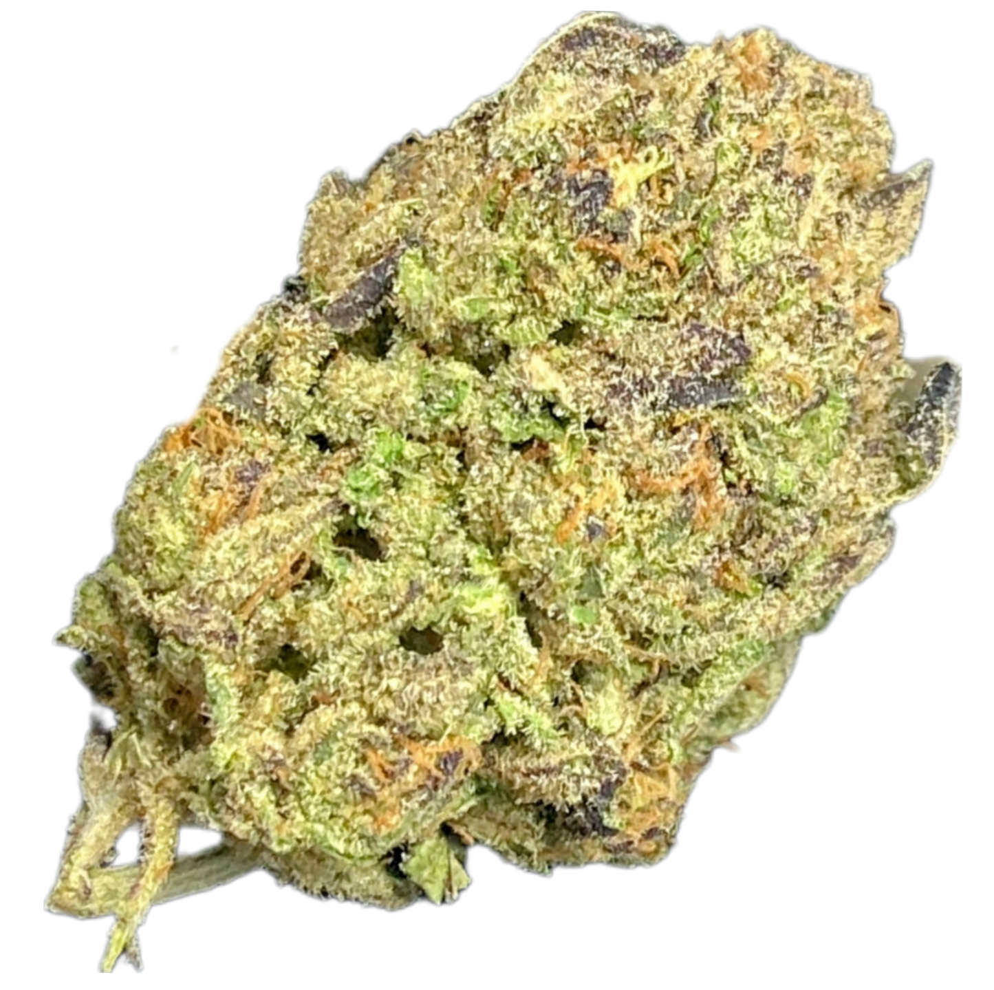 -INDOOR QP'S, COMMERCIAL BULK •HEMP FLOWER