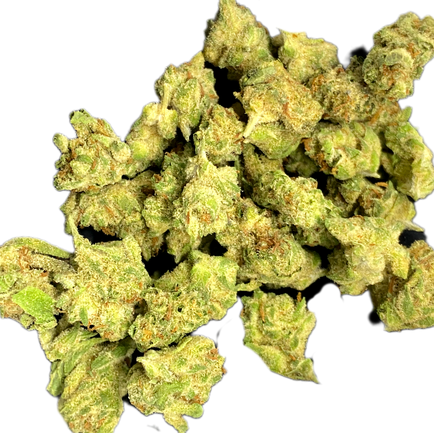 -LITTLE BUDS, QP CATALOG.. BULK HEMP FLOWER