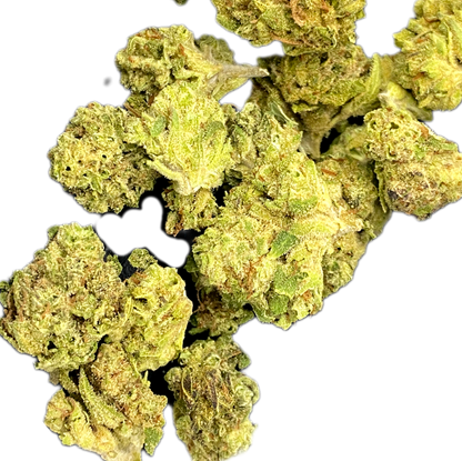 -LITTLE BUDS, QP CATALOG.. BULK HEMP FLOWER