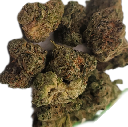 -GREENHOUSE OZ'S & QP'S •UNIQUE LITTLE BUDS